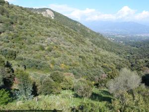 ELI&LOU avec piscine