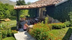 Old house Nilovic - Podvrat