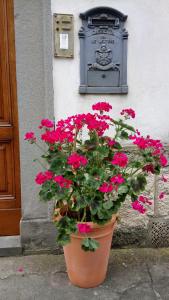 Casa Bartolacci Charme in Bivigliano (Near Mugello and Florence)