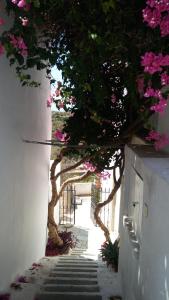 The large bougainvillea house Kythira Greece