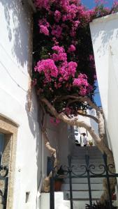 The large bougainvillea house Kythira Greece