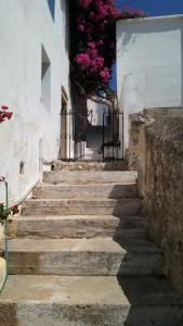 The large bougainvillea house Kythira Greece