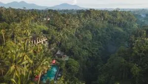 Chapung Sebali - Убуд