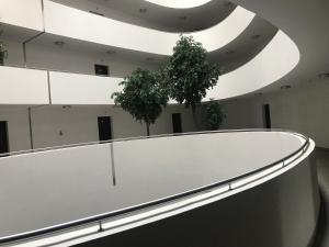 Apartament Kręta