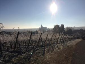 Appartements Huna’gite : photos des chambres