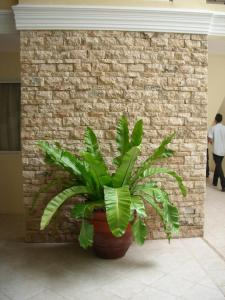 The Suites at Calle Nueva