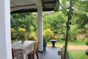 Nature Night Homestay