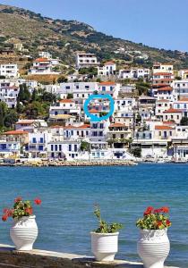 Elena's apartments Andros Greece