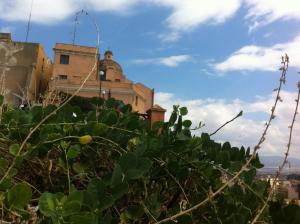 Little Cagliari img22