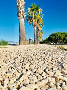 Bardilio Luxury Rooms img90