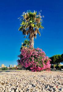 Bardilio Luxury Rooms img87