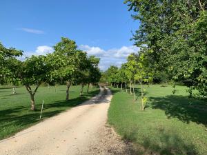 Lovely gites with private pool, privacy & spacious garden