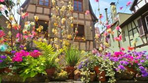 Maisons de vacances La Maison des Tanneurs : photos des chambres