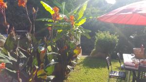 B&B / Chambres d'hotes Chiapatella : photos des chambres