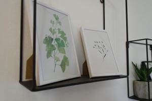 Oleander Rooms & Apartment