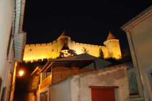 Maisons de vacances Maison des Remparts nichee sous la Cite : photos des chambres