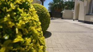 Bridgeville Guest House( Pty) Ltd