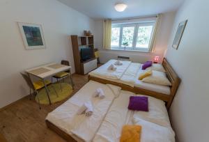 Apartmán Lipno 20