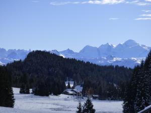 Appartements Le Genepi : photos des chambres