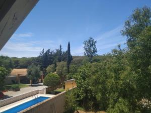 Tranquila Casa de Madera