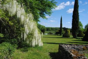 Maisons de vacances Domaine de la Charmeraie : photos des chambres