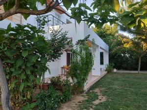 Unique villa in an orange grove Argolida Greece