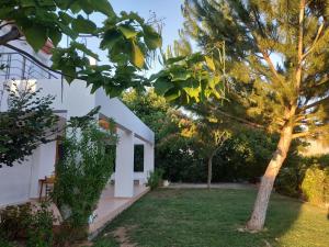 Unique villa in an orange grove Argolida Greece