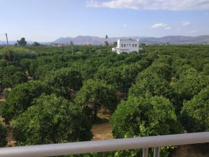 Unique villa in an orange grove Argolida Greece