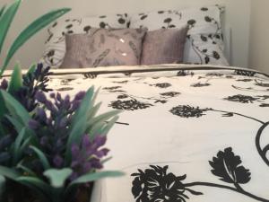 Apartment Apartments U Fl&oacute;ry Olomouc Czech Republic