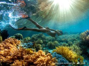 Meridian Adventure Marina Club & Resort