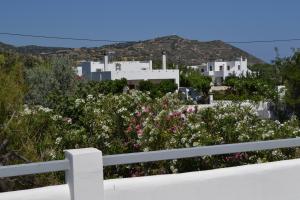 Skyros Koxilas Studios Skyros Greece