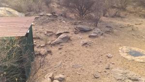 Halala Africa Lodge