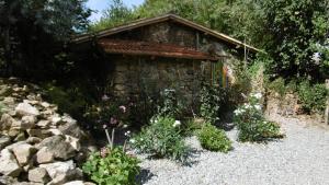 B&B / Chambres d'hotes Lazy Days : photos des chambres