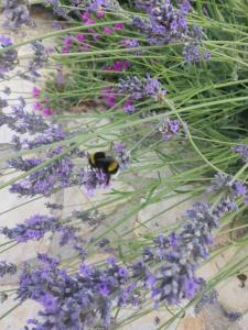 Kuća za odmor Katarina