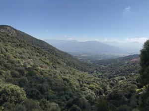 ELI&LOU avec piscine