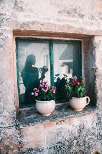 Casale Dei Pini - Nature Room