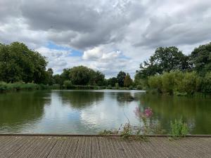 Apartment room in WelcomeStay Clapham Junction 2 Bedroom Apartment