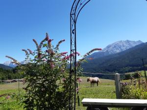 Vorderponholz Ferienwohnungen