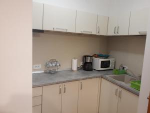 A piece of history in Moscovitz Palace