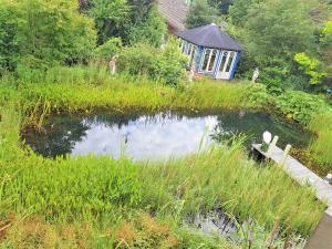 Ferienwohnung im Gartenparadies