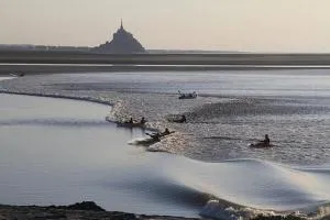 Escale en baie. - Juilley