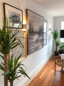 Oporto Chic&Cozy - Aliados