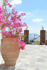 Maryloujohn Villas Santorini Greece