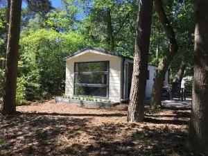 Norah - 维尔豪特