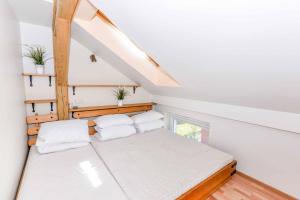 Apartamentai NEMUNAS