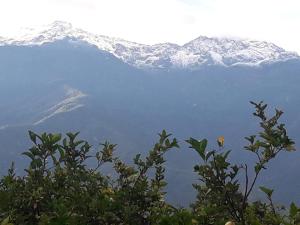 Casas Vacacionales La Cima