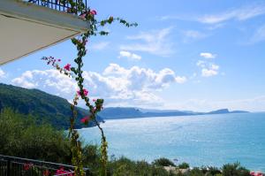 Studio room in Mare Blu