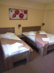 Cabana Fulg De Nea Predeal