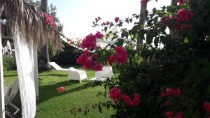 La Casa di Nina img18