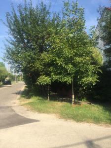 Donau ApartmanTát